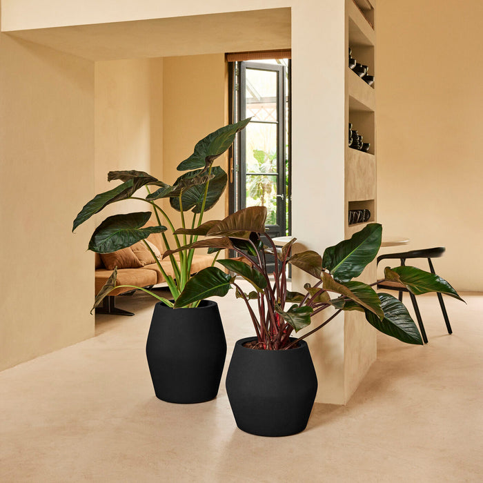 327643-x05-202412190541-A.jpg (9713893) 