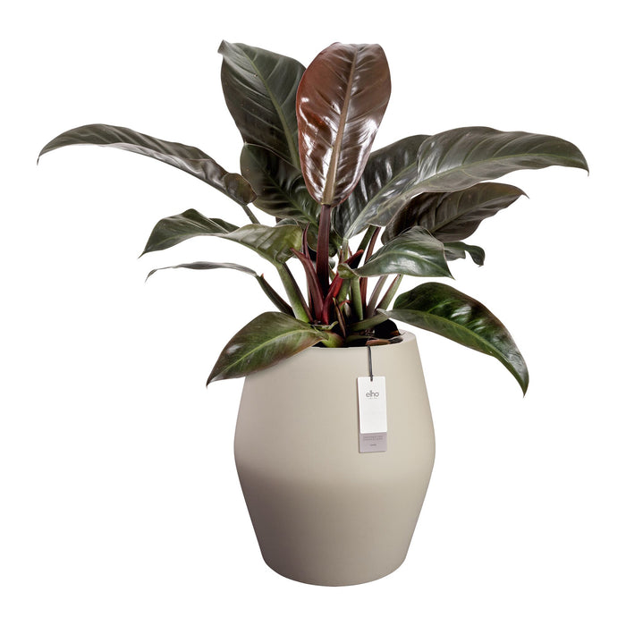 327645-x02-202412190541-C.jpg (9713901) 