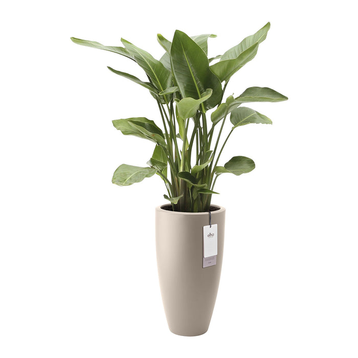 327647-x02-202412190541-C.jpg (9713909) 