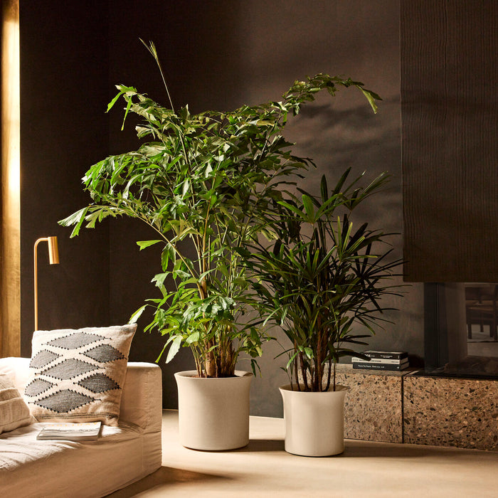 327652-x01-202412190541-A.jpg (9713921) 