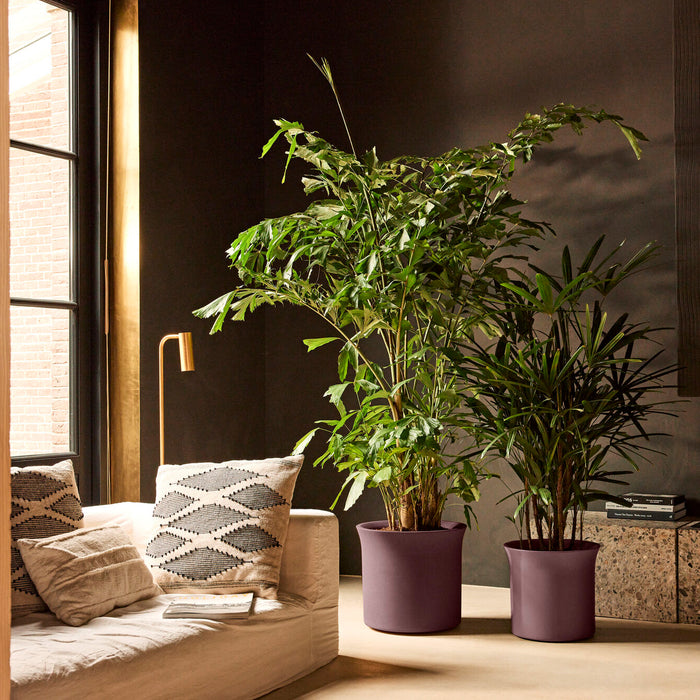 327654-x01-202412190540-A.jpg (9713929) 