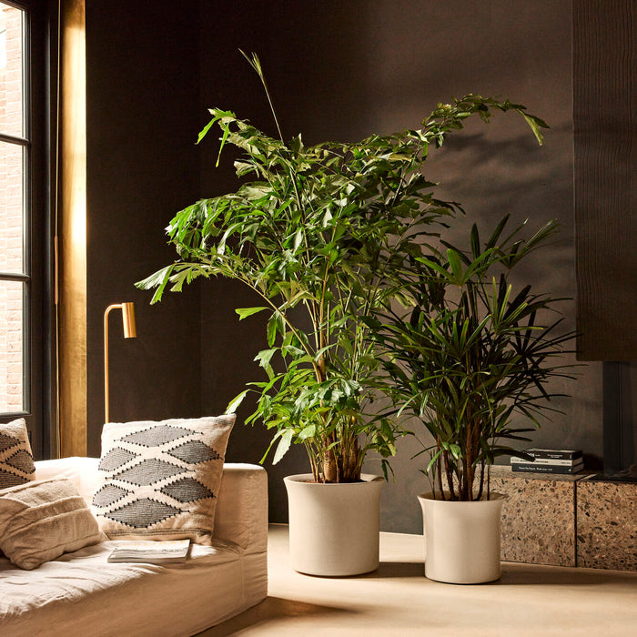 327655-x01-202412190540-A.jpg (9713933) 