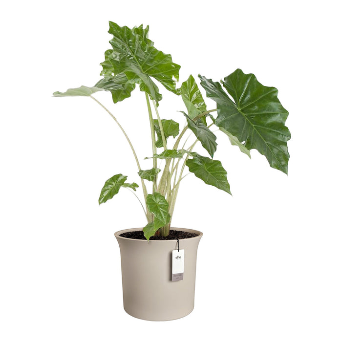 327655-x02-202412190541-C.jpg (9713935) 