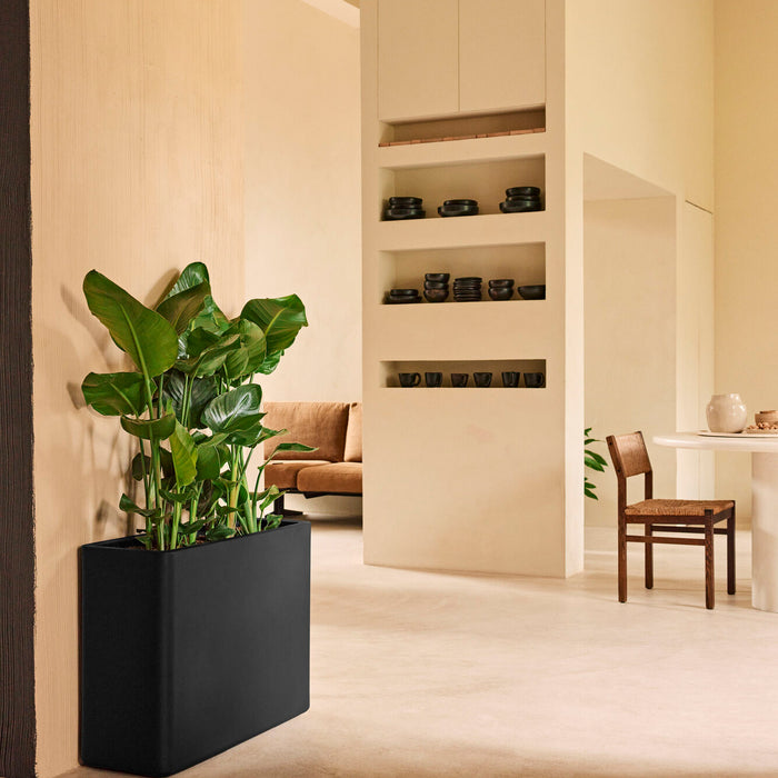 327656-x01-202412190541-A.jpg (9713938) 