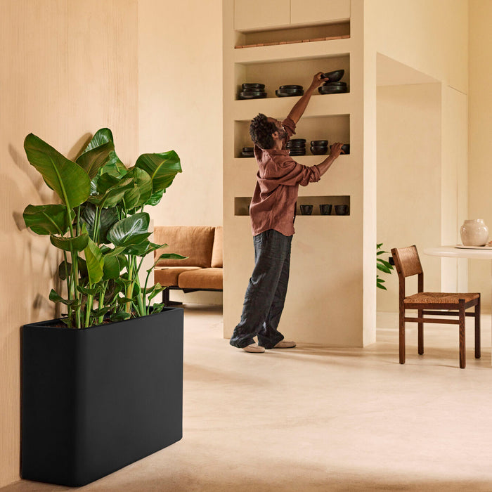 327656-x04-202412190541-A.jpg (9713943) 