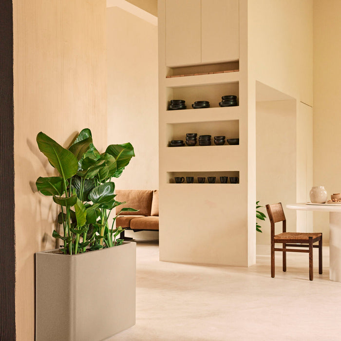 327657-x01-202412190541-A.jpg (9713944) 