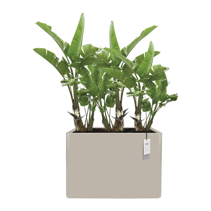 327657-x02-202412190541-C.jpg (9713945) 