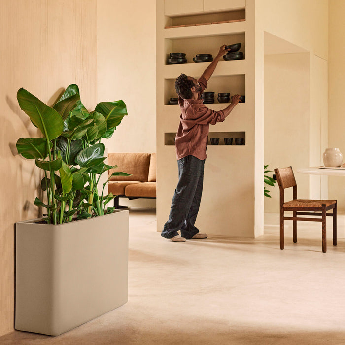 327657-x04-202412190541-A.jpg (9713947) 