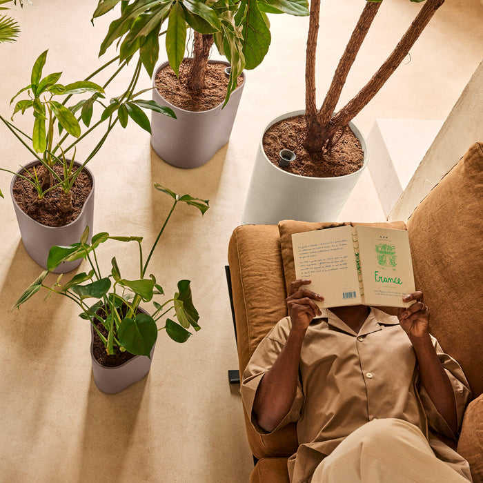 327658-x03-202412190541-A.jpg (9713951) 