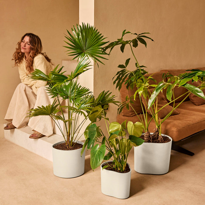 327661-x01-202412190541-A.jpg (9713960) 