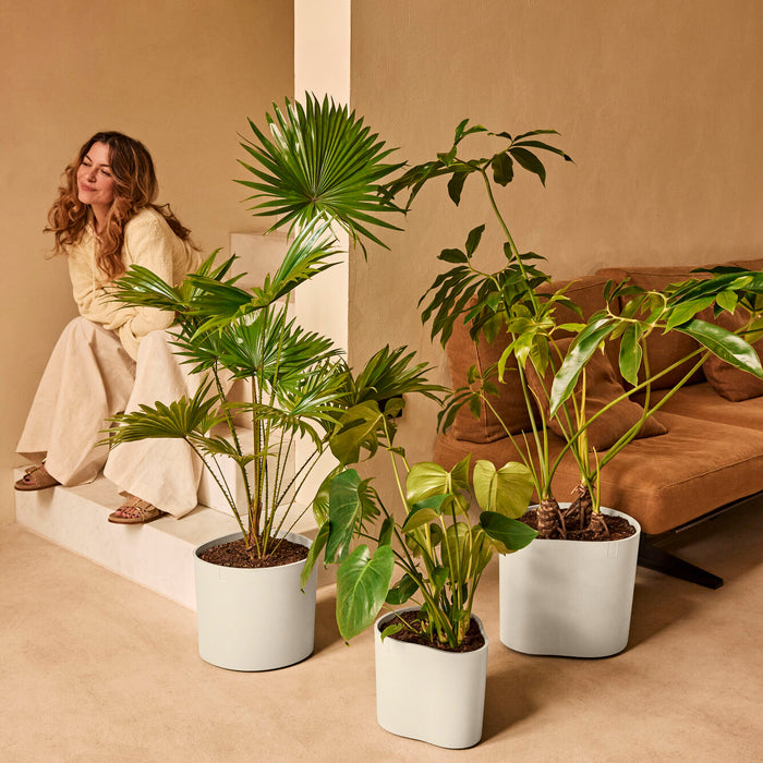 327663-x01-202412190541-A.jpg (9713967) 