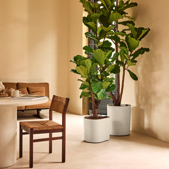 327664-x01-202412190540-A.jpg (9713971) 