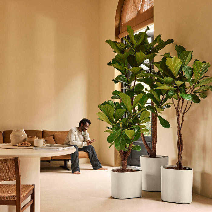 327664-x03-202412190541-A.jpg (9713973) 