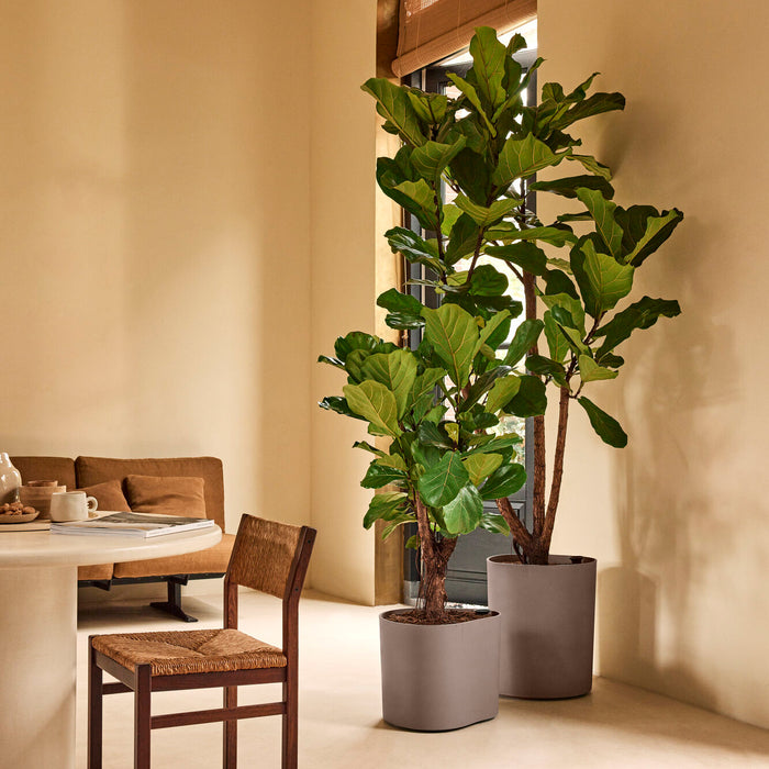 327665-x01-202412190541-A.jpg (9713976) 