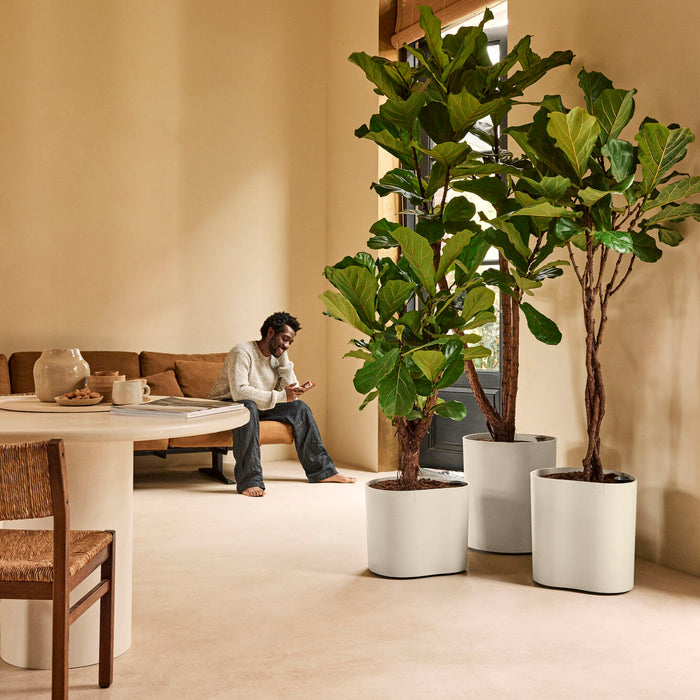 327666-x03-202412190540-A.jpg (9713981) 