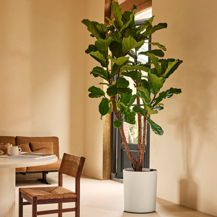 327668-x01-202412190541-A.jpg (9713988) 