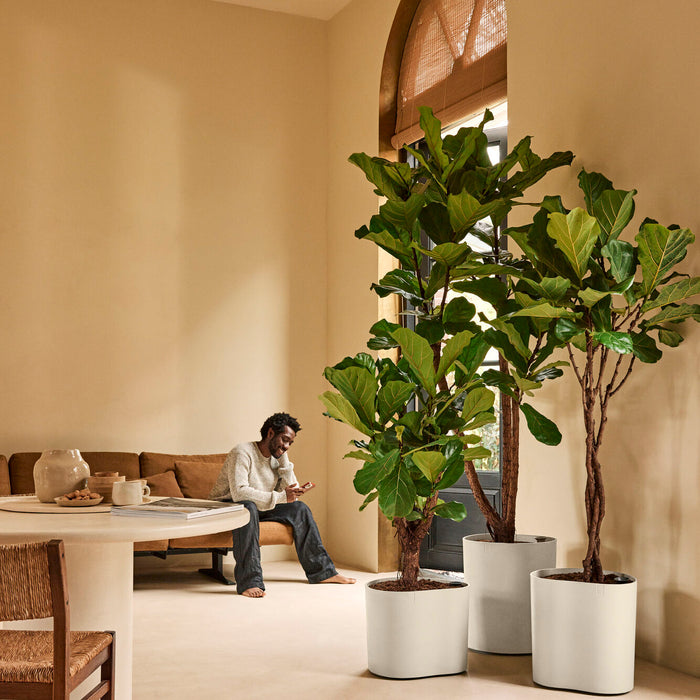 327668-x03-202412190541-A.jpg (9713991) 