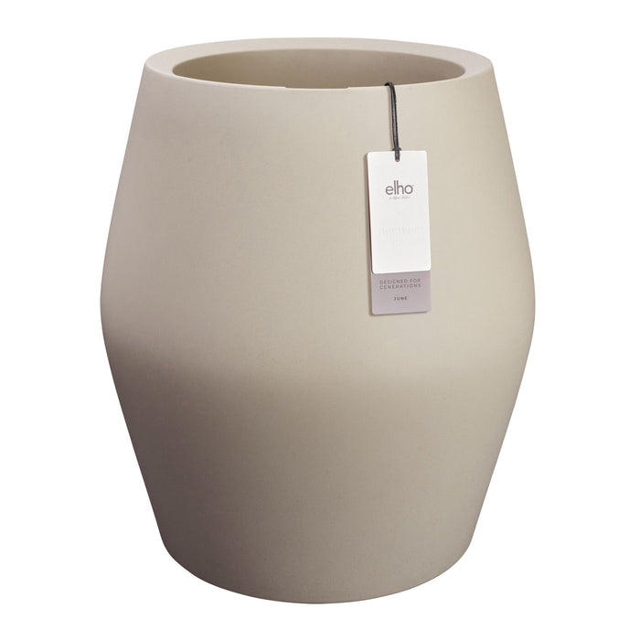 327645-x00-202412192122-C.jpg (9720812) 