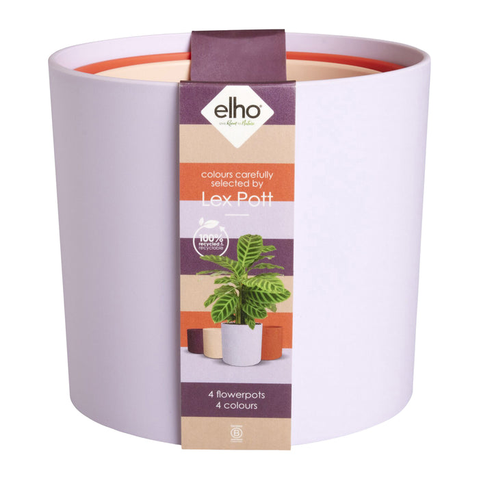 327578-x00-202412250321-C.jpg (9744607) 