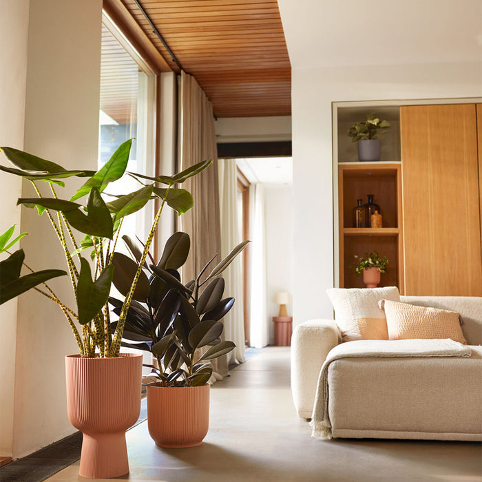 327565-x01-202412260522-A.jpg (9746865) 