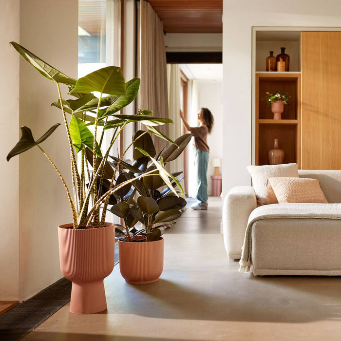 327565-x02-202412260522-A.jpg (9746866) 