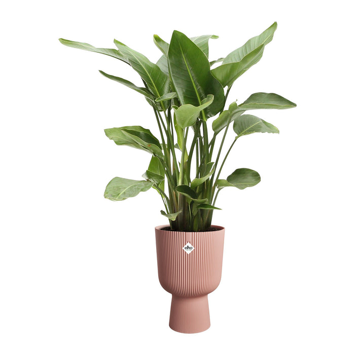 327565-x03-202412260522-C.jpg (9746867) 