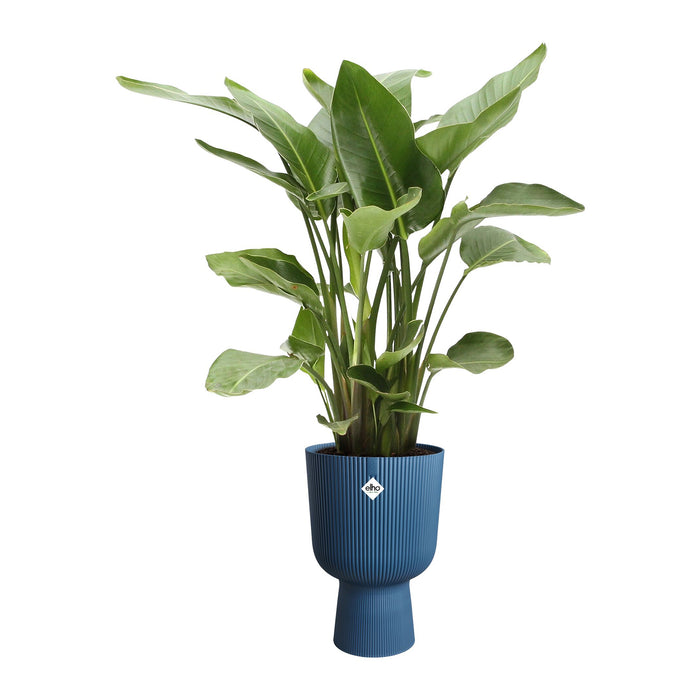 327567-x03-202412260521-C.jpg (9746873) 