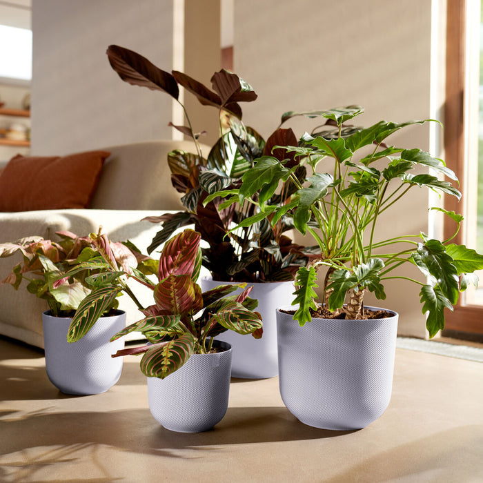 327568-x01-202412260521-A.jpg (9746874) 