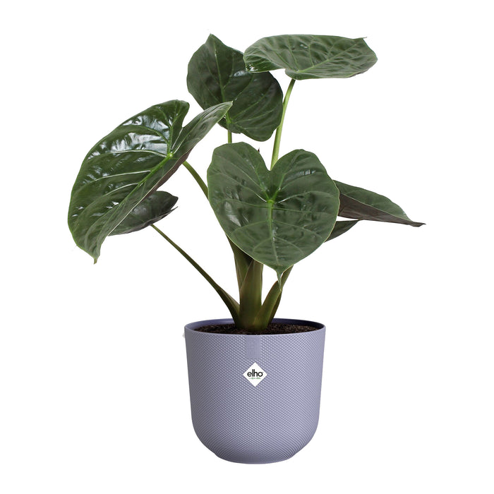 327568-x03-202412260521-C.jpg (9746876) 