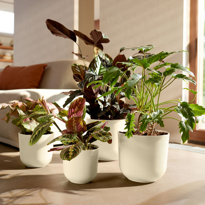 327569-x01-202412260522-A.jpg (9746878) 