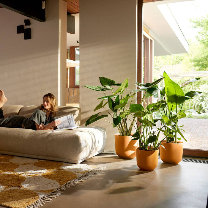 327570-x02-202412260521-A.jpg (9746883) 