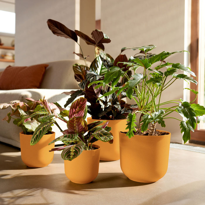 327570-x03-202412260522-A.jpg (9746884) 