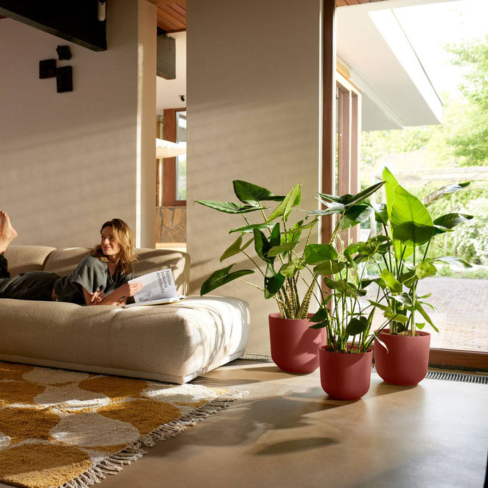 327571-x02-202412260522-A.jpg (9746888) 