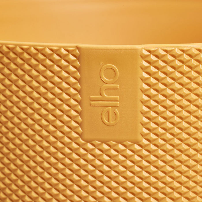 327574-x05-202412260522-C.jpg (9746903) 