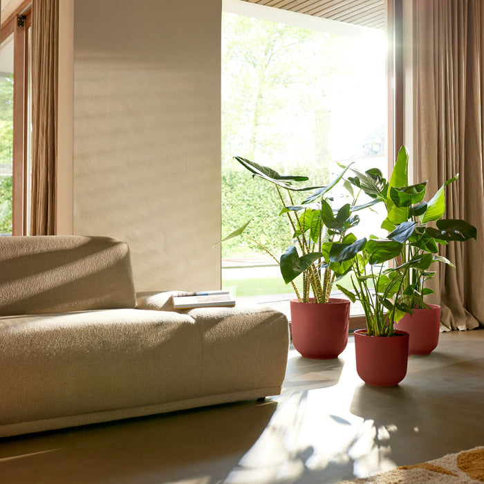 327575-x01-202412260521-A.jpg (9746904) 