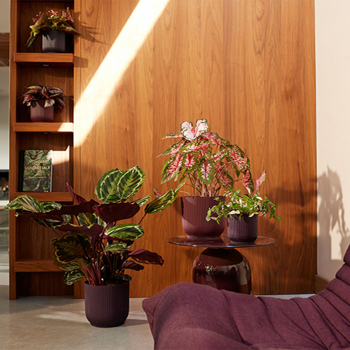 327576-x02-202412260522-A.jpg (9746909) 