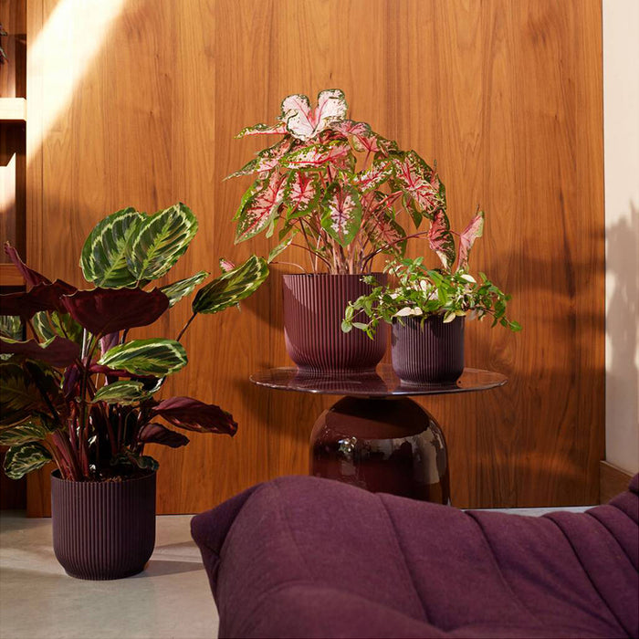 327577-x03-202412260522-A.jpg (9746914) 