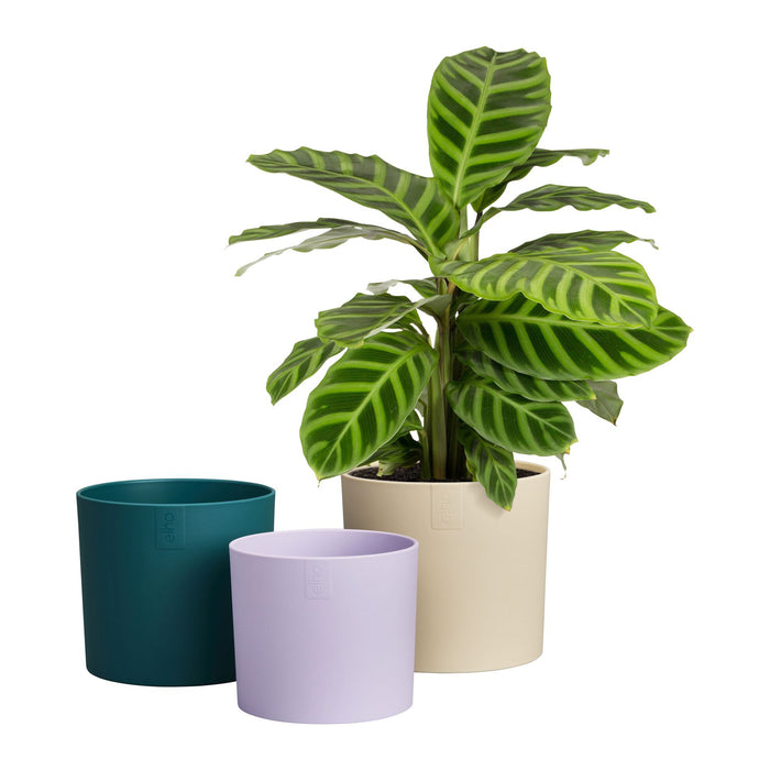 327580-x03-202412260522-C.jpg (9746924) 