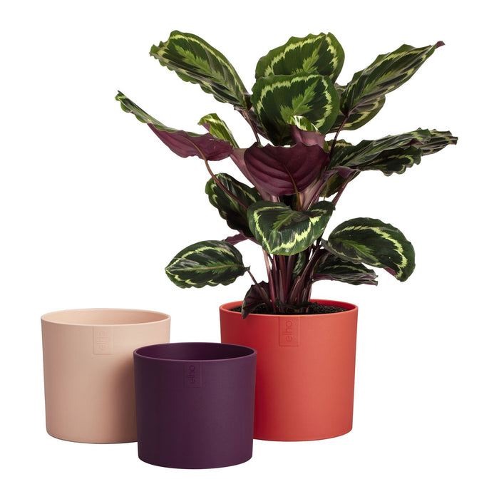 327581-x05-202412260521-C.jpg (9746928) 