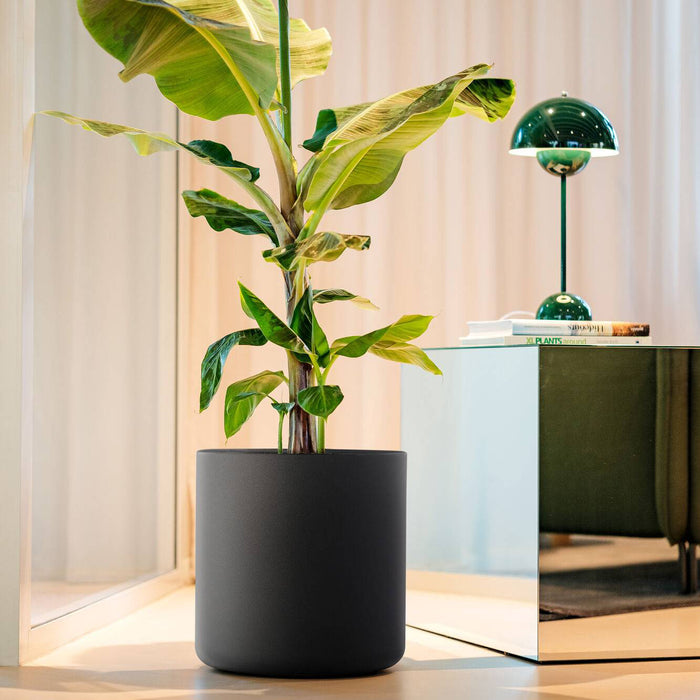 Elho Pure Cilinder Wheels 40 - Zwart - L 40 x B  x H 40 cm - Balkon, Binnen en Buiten - 100% gerecycled kunststof kunststof