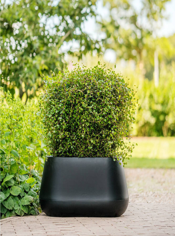 Elho Pure Cone Long Wheels 75 - Zwart - L 74 x B  x H 36 cm - Binnen en Buiten - 100% gerecycled