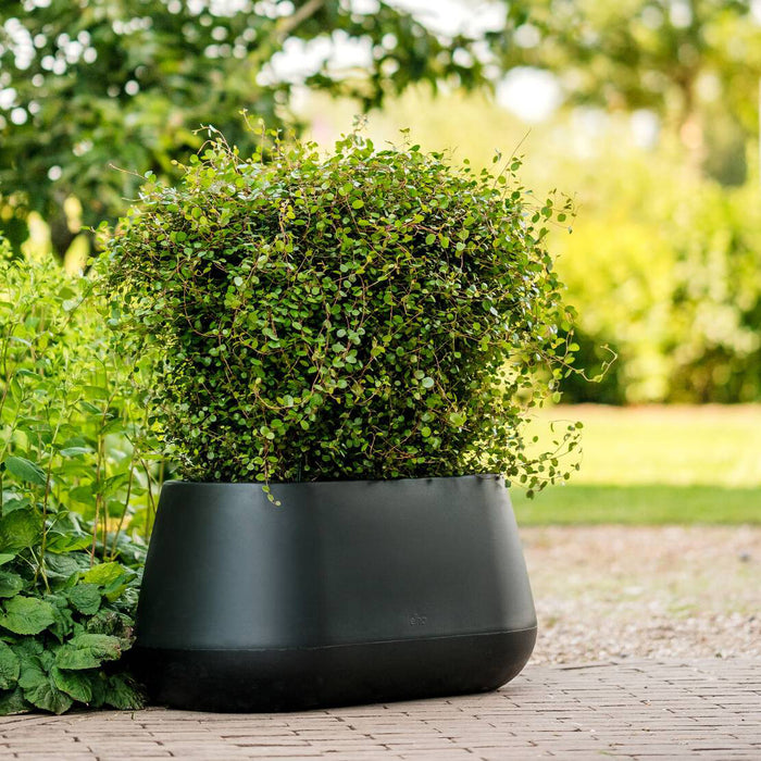 Elho Pure Cone Long Wheels 75 - Zwart - L 74 x B  x H 36 cm - Binnen en Buiten - 100% gerecycled