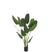 J-Line plant Strelitzia - kunststof - groen - medium
