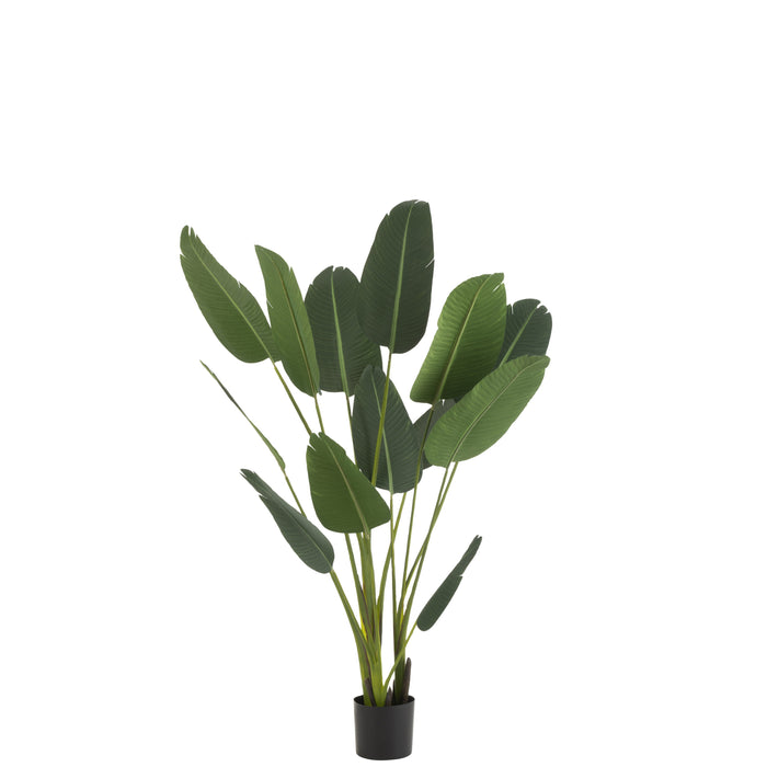 J-Line plant Strelitzia - kunststof - groen - medium