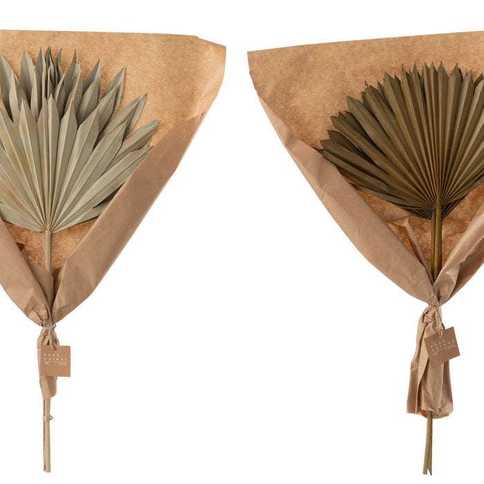 J-Line droogbloemen - gedroogde palmboom Bladeren - groen -