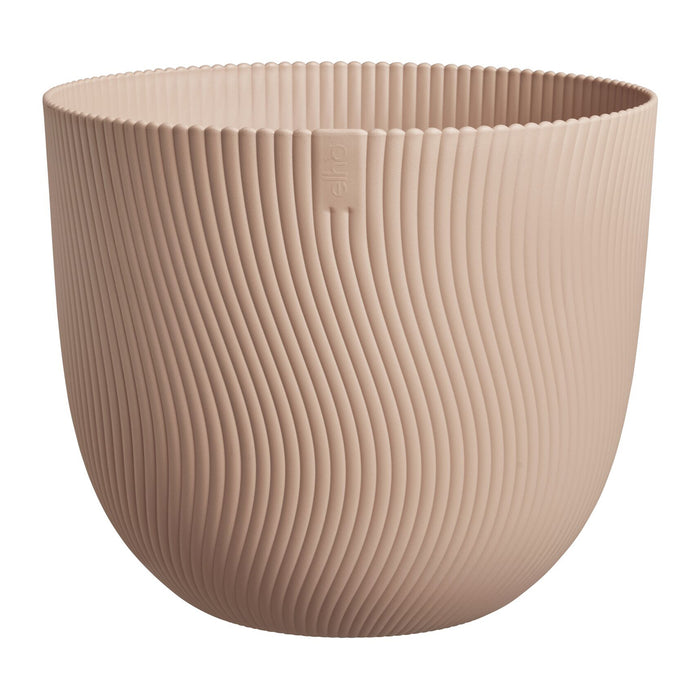 327670-x04-202412311122-C.jpg (9756154) 