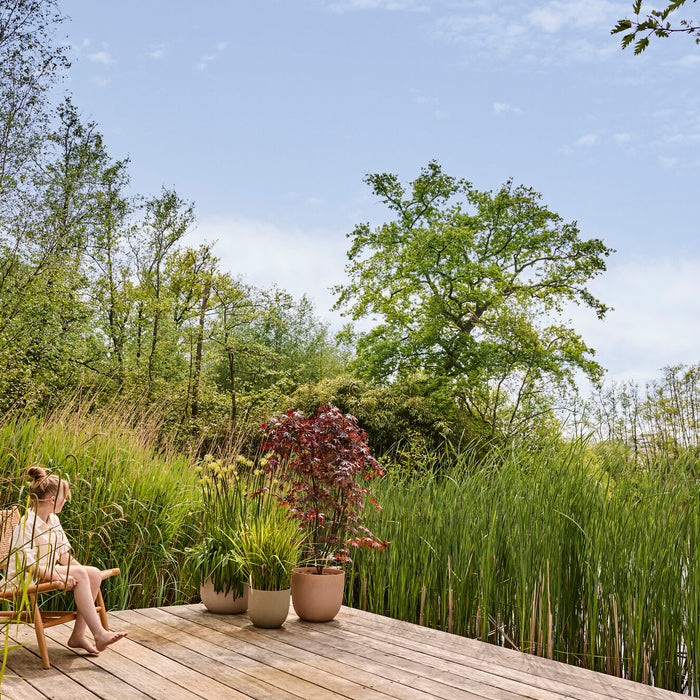 327671-x01-202412311122-A.jpg (9756161) 