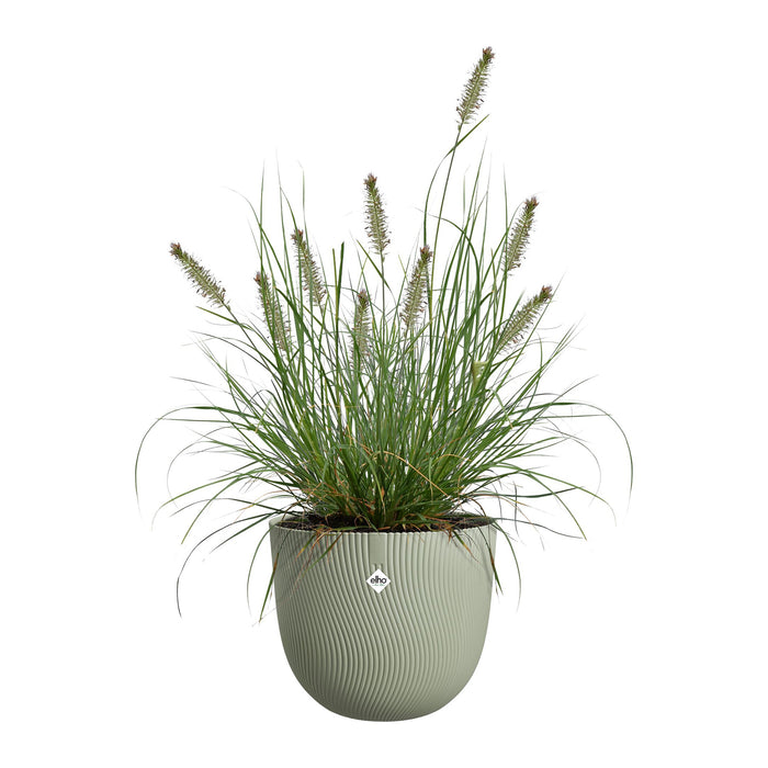 327671-x03-202412311122-C.jpg (9756163) 