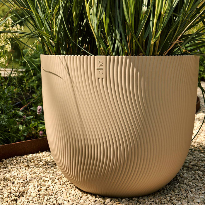 327678-x02-202412311122-A.jpg (9756230) 