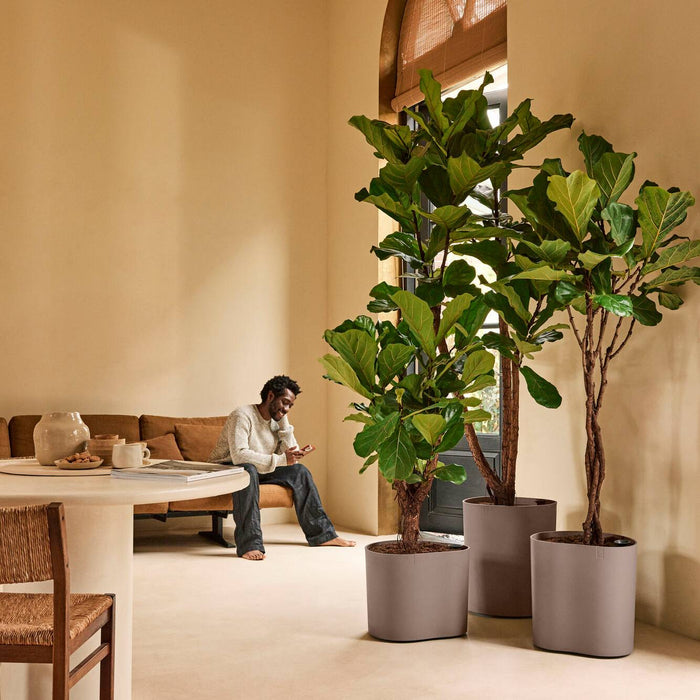 Elho Eden Aquacare Low 40 - Zacht taupe - L 44 x B  x H 35 cm - Binnen en Buiten - 100% gerecycled